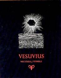 Vesuvious Book Cover an original silkscreen framed print by Arthur Secunda